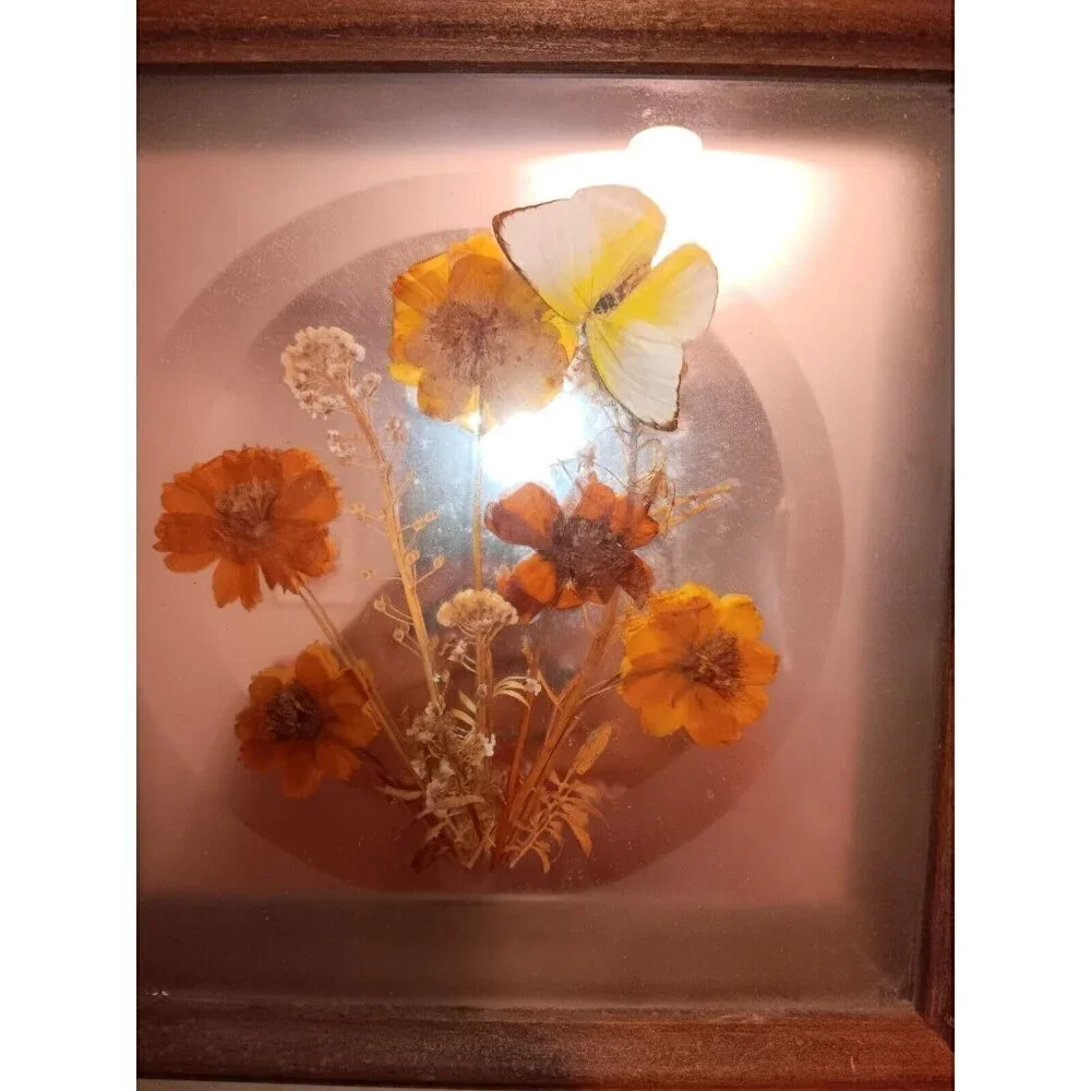 Vintage MCM Frosted Glass Mirror Framed Dried Flower And Butterfly Arrangement
